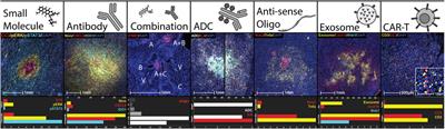 Early, precise, and safe clinical evaluation of the pharmacodynamic effects of novel agents in the intact human tumor microenvironment